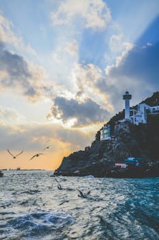 pexels-photo-746486-746486 Discover the stunning seaside landscape of Busan featuring a lighthouse at sunset.